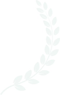 Techfinitii